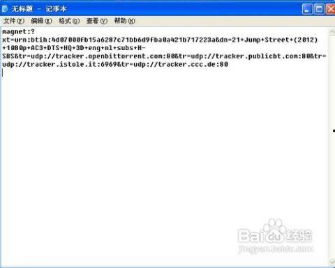 吃瓜文件 magnet,一场网络热议背后的真相解析