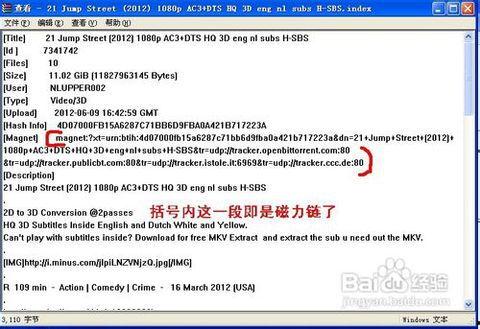 吃瓜文件 magnet,一场网络热议背后的真相解析