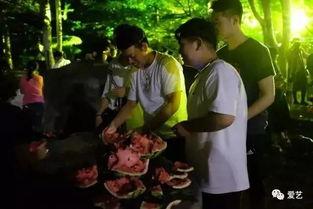 学院吃瓜初中事件,真相与反思