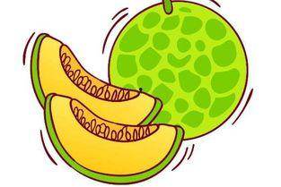 怎么吃哈米瓜好吃,解锁哈米瓜的极致口感