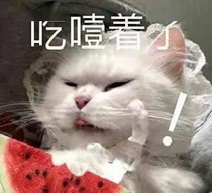 沉溺在吃瓜,揭秘吃瓜群众的狂欢世界