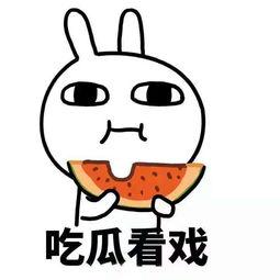 沉溺在吃瓜,揭秘吃瓜群众的狂欢世界