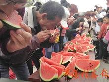 互动游戏吃瓜,趣味横生的瓜界冒险之旅