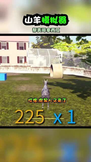 沙雕小羊吃瓜,沙雕小羊的瓜田奇遇记