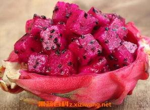 吃火龙果瓜,美味与营养的完美结合