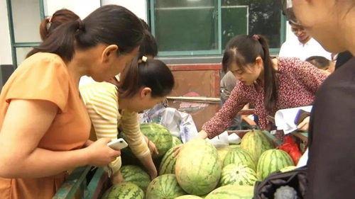 吃瓜情报村里,一场乡村八卦盛宴