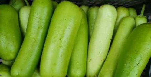 瓠瓜怎么吃最佳,解锁最佳食用方法