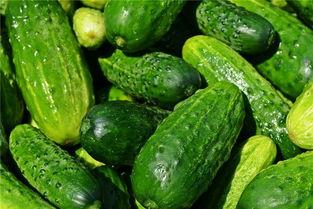 梦见吃黑面瓜,探寻黑面瓜的神秘寓意