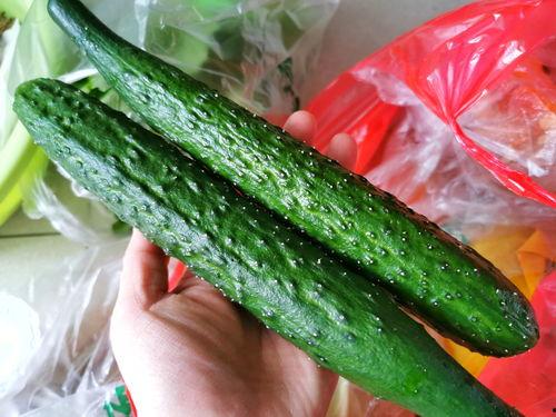 疫情期间有瓜吃,瓜果飘香，共享丰收喜悦