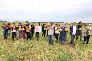 老汉吃瓜壁纸,笑谈世间百态