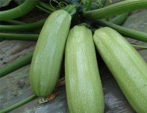 西津吃瓜,揭秘娱乐圈背后的那些事儿