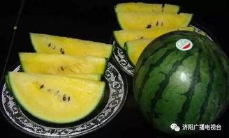 西津吃瓜,揭秘娱乐圈背后的那些事儿