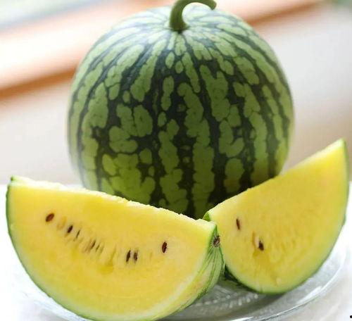 明星也追瓜吗吃瓜吗