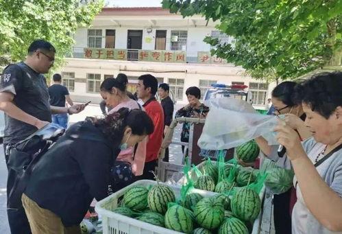 碎尸案吃瓜群众,吃瓜群众的围观与反思