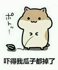 反感吃瓜的人,拥抱宁静生活