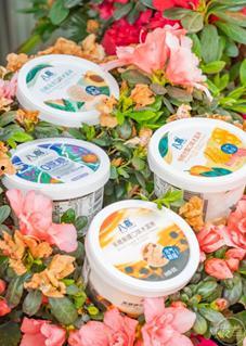 瓜哥吃冰淇淋,冰淇淋美食之旅