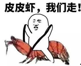 吃瓜视频套路大全,教你轻松识破网络谣言陷阱