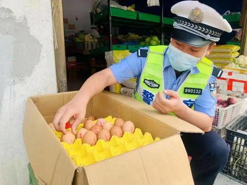 宁德市吃瓜,瓜果飘香，品味生活新篇章