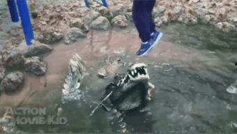 鳄鱼吃瓜搞笑视频大全