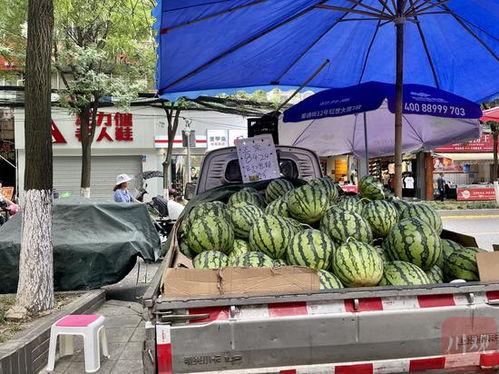 成都吃瓜男女,揭秘麻辣城市里的社交现象