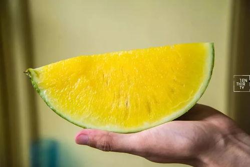 吃的大白瓜可以做种吗,如何从果实中培育新生命