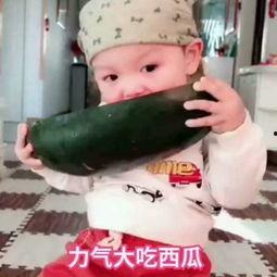 高迪果冻吃瓜,揭秘网红吃瓜背后的甜蜜诱惑