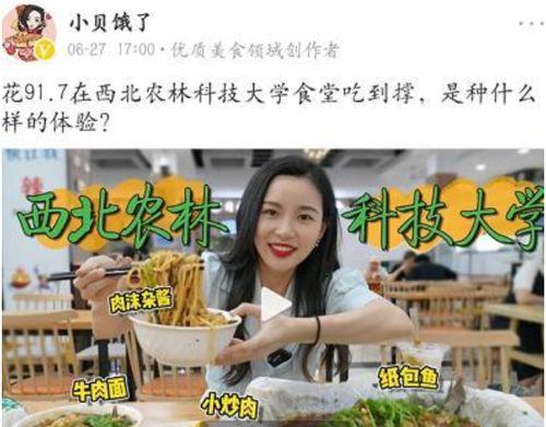 吃瓜直播李美人,李美人的吃瓜直播传奇