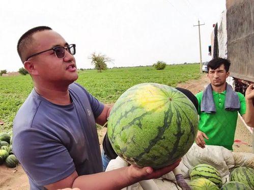 兼职石油兵 吃瓜,揭秘瓜田里的石油传奇