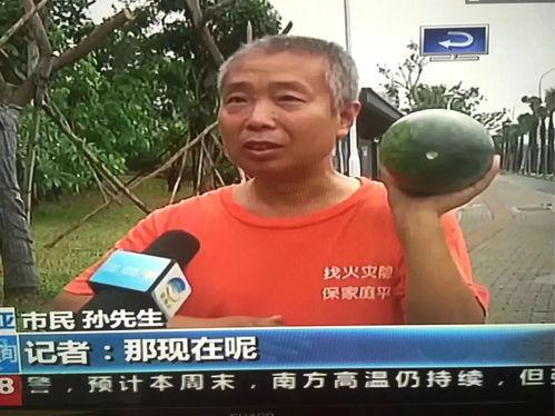 热门事件吃瓜2023,吃瓜群众视角下的年度盘点