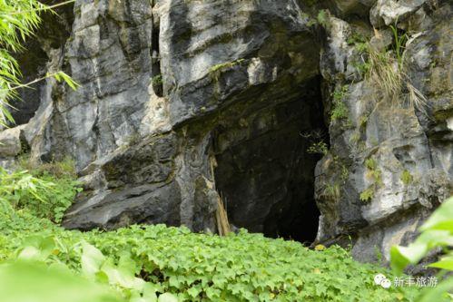 山色吃瓜,探寻自然与美食的和谐交响