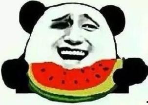 还在吃瓜吗,还在吃瓜吗？最新热点事件大盘点