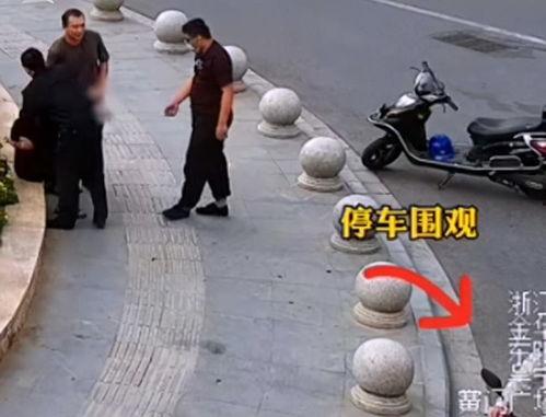 警察抓捕吃瓜视频,吃瓜视频见证正义瞬间