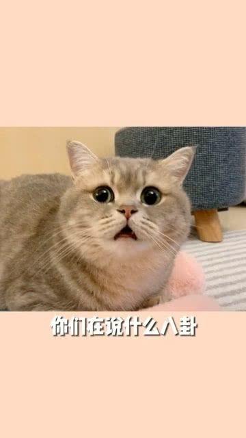 像极了吃瓜的你图片,你，就是那个“像极了吃瓜的你”