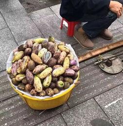 石佛寺吃瓜群,揭秘民间趣事，共享欢乐时光