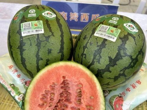 东营港吃瓜视频,揭秘港口生活趣味瞬间