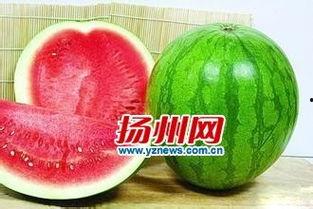 悦灵吃瓜,揭秘娱乐圈那些不为人知的幕后故事