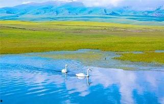 巴音布鲁克吃瓜