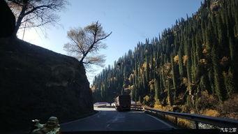 巴音布鲁克吃瓜