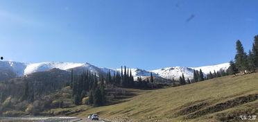 巴音布鲁克吃瓜