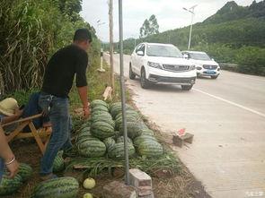 吃瓜搬凳子视频
