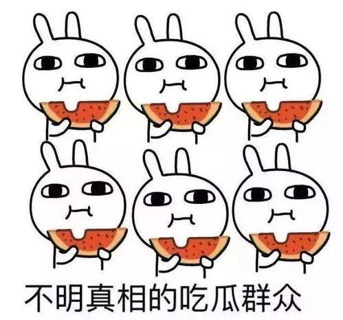 吃瓜人的胜利,揭秘网络舆论的力量