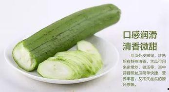 晚瓜可以吃吗,美味可口的健康佳品，食用指南解析