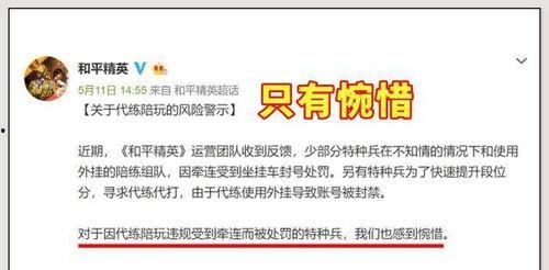 代练陪玩吃瓜,揭秘电竞圈背后的“吃瓜”故事