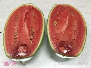 吃瓜变色,揭秘神奇食材的神奇魔力