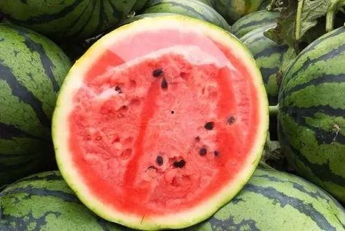 七米永久吃瓜视频,揭秘娱乐圈幕后真相