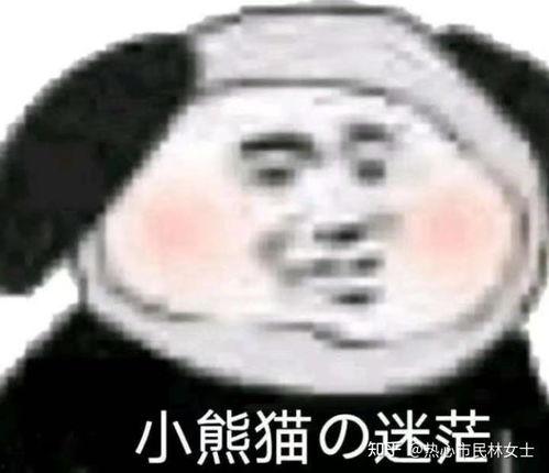 吃瓜吃到我头上,我的“瓜界”奇遇记