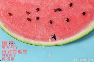 吃瓜最高境界,揭秘吃瓜最高境界的奥秘