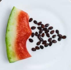 可以剥籽儿吃的瓜,剥籽儿瓜的甜蜜诱惑