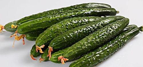 吃瓜爆料黄瓜,揭秘“吃瓜爆料”背后的黄瓜传奇