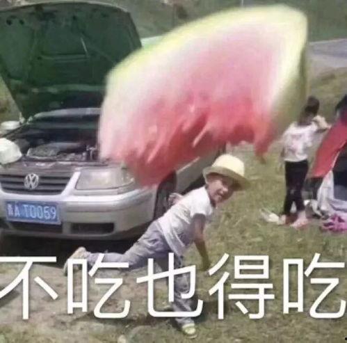 吃瓜小熊头像,吃瓜小熊的趣味日常